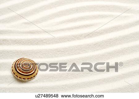 Single seashell on sand View Large Photo Image Stock Photo - Single seashell on sand. Fotosearch