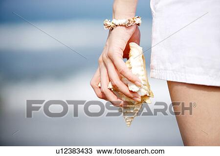 Stock Image - Woman holding one seashell, focus on hand, mid-section. Fotosearch
