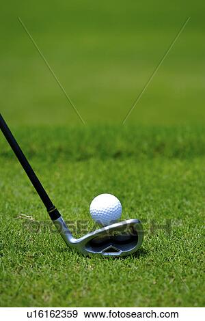 Close-up of a golf ball and golf club View Large Photo Image Stock Photo - Close-up of a golf ball and golf club. Fotosearch