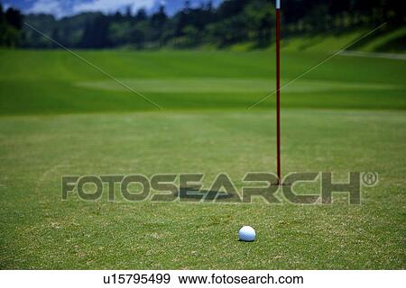 Flag and golf ball on putting green View Large Photo Image Stock Photo - Flag and golf ball on putting green. Fotosearch
