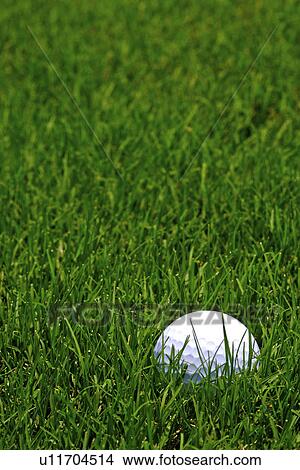 Golf ball in grass, close up View Large Photo Image Picture - Golf ball in grass, close up. Fotosearch
