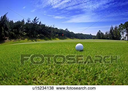 Stock Photo - Golf ball on green. Fotosearch