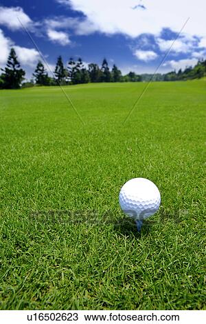 Golf ball on tee, ground view, close up View Large Photo Image Stock Image - Golf ball on tee, ground view, close up. Fotosearch