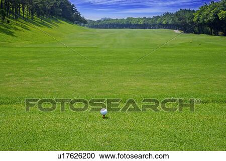 Golf ball on tee, ground view, close up View Large Photo Image Stock Image - Golf ball on tee, ground view, close up. Fotosearch