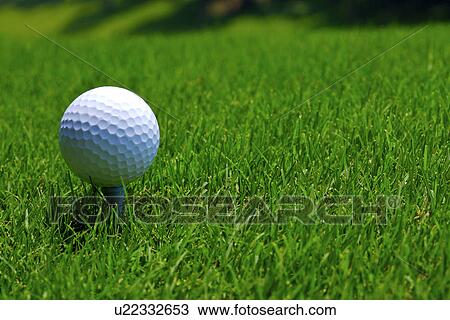 Golf ball on tee, ground view, close up View Large Photo Image Stock Image - Golf ball on tee, ground view, close up. Fotosearch