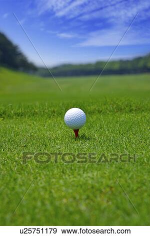 Golf ball on tee, ground view, close up View Large Photo Image Stock Photo - Golf ball on tee, ground view, close up. Fotosearch