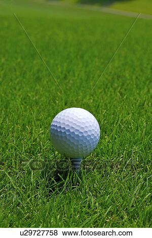 Golf ball on tee, ground view, close up View Large Photo Image Stock Photo - Golf ball on tee, ground view, close up. Fotosearch