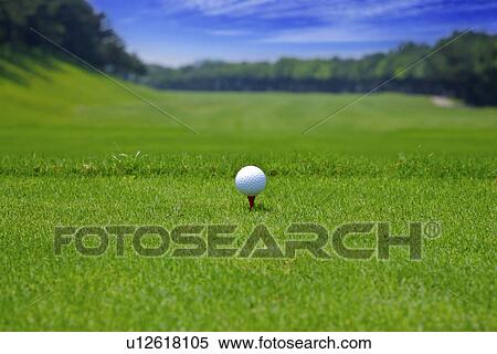 Golf ball on tee, ground view, close up View Large Photo Image Stock Photography - Golf ball on tee, ground view, close up. Fotosearch