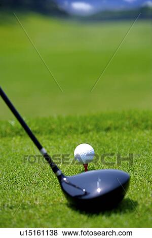 Stock Photo - Golf club, golf ball and tee. Fotosearch