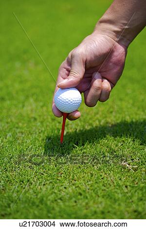 Man placing golf ball on tee View Large Photo Image Picture - Man placing golf ball on tee. Fotosearch