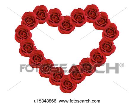 Heart shape made of roses View Large Photo Image Stock Photograph - Heart shape made of roses. Fotosearch
