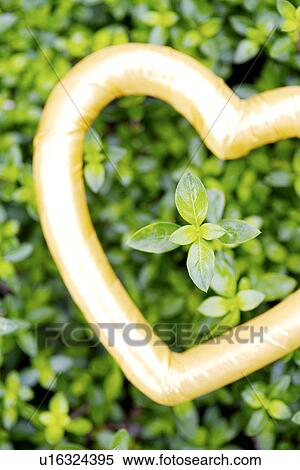 Stock Photography - Heart-shaped object on green leaves. Fotosearch
