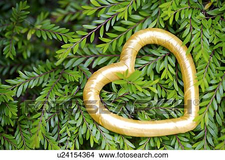 Heart shaped object on leaves View Large Photo Image Picture - Heart shaped object on leaves. Fotosearch