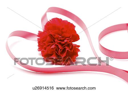 Heart-shaped ribbon View Large Photo Image Stock Photograph - Heart-shaped ribbon. Fotosearch