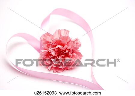 Heart-shaped ribbon with flower View Large Photo Image Stock Image - Heart-shaped ribbon with flower. Fotosearch