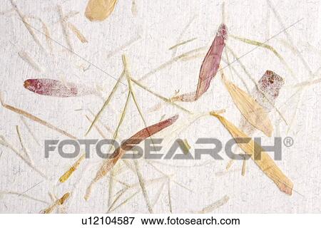 Stock Photo - Wallpaper detail. Fotosearch