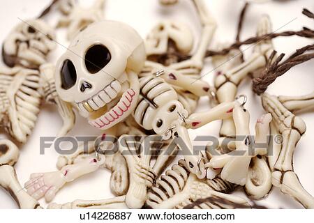 Stock Photo - Artificial human skeleton, close up. Fotosearch