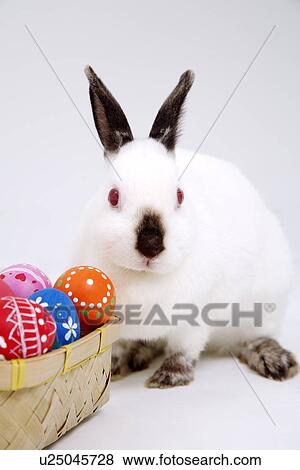 Stock Photo - Easter eggs in bamboo basket and rabbit. Fotosearch