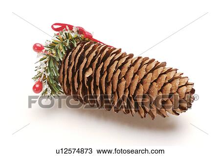 Pine cone, close up View Large Photo Image Stock Image - Pine cone, close up. Fotosearch
