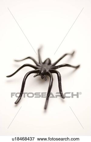 Stock Photo - Plastic spider against white background. Fotosearch