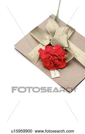 Single carnation and card View Large Photo Image Stock Image - Single carnation and card. Fotosearch