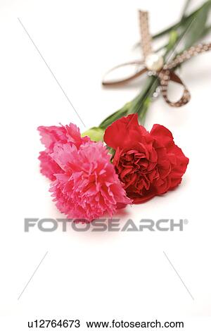 Stock Image - Three carnations. Fotosearch
