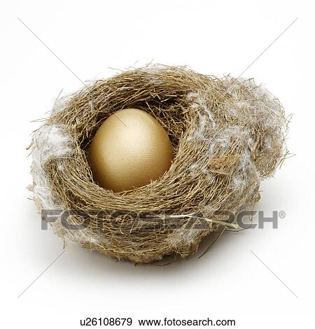 Close-up of a golden egg in a nest View Large Photo Image Stock Photo - Close-up of a golden egg in a nest. Fotosearch