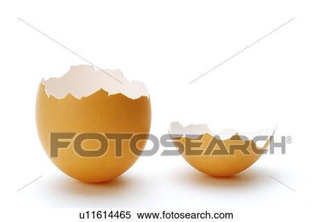 Egg shell broken in two parts View Large Photo Image Stock Photography - Egg shell broken in two parts. Fotosearch