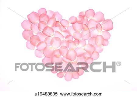 Stock Photography - Petals in heart shape. Fotosearch