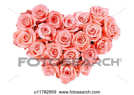 Pink roses in heart shape View Large Photo Image Stock Photo - Pink roses in heart shape. Fotosearch