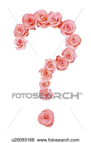 Pink roses in question mark shape View Large Photo Image Stock Photo - Pink roses in question mark shape. Fotosearch