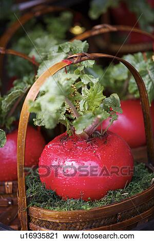 Baskets of carrots View Large Photo Image Stock Image - Baskets of carrots. Fotosearch