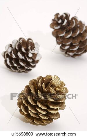 Stock Photo - Three pine cones, close up. Fotosearch