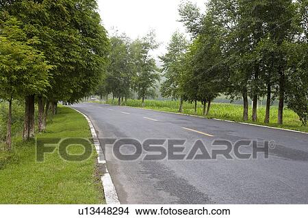 Picture - China, Mt. Huangshan, Road in non-urban setting. Fotosearch