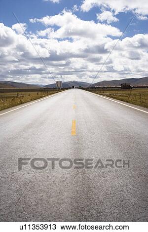Stock Image - China, Ruoergai Grassland, One animal crossing the road. Fotosearch