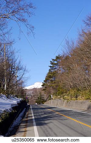 Japan, Treelined road with snow View Large Photo Image Stock Photography - Japan, Treelined road with snow. Fotosearch