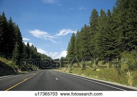 Stock Image - USA, Yellowstone National Park, Empty road. Fotosearch