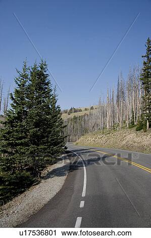 Stock Image - USA, Yellowstone National Park, Empty road. Fotosearch