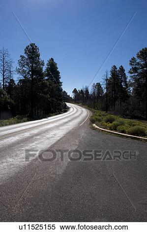 Stock Photography - USA, Yellowstone National Park, Winding road. Fotosearch