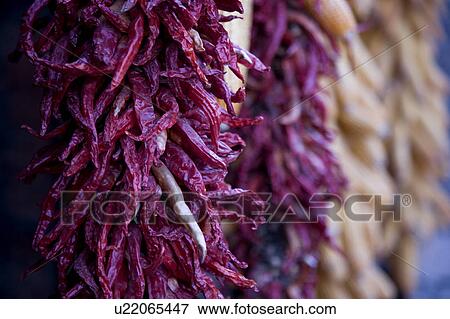 Stock Photo - Chili peppers hanging out to dry. Fotosearch