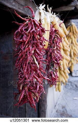 Corns and chili peppers hanging out to dry beside a house View Large Photo Image Stock Image - Corns and chili peppers hanging out to dry beside a house. Fotosearch