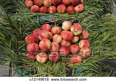Peaches View Large Photo Image Stock Photo - Peaches. Fotosearch
