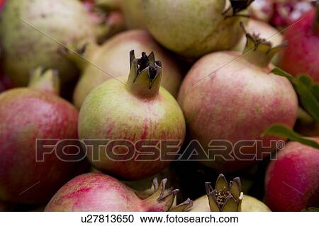 Stock Image - Pomegranates, full frame. Fotosearch