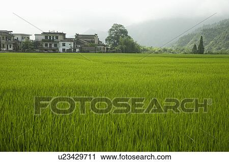 Rural Scene View Large Photo Image Stock Image - Rural Scene. Fotosearch