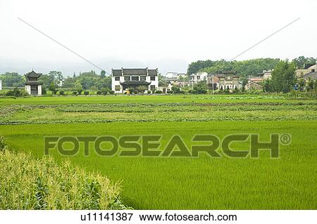 Rural Scene View Large Photo Image Stock Photo - Rural Scene. Fotosearch