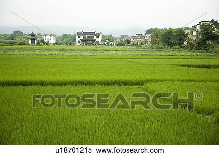 Stock Photography - Rural Scene. Fotosearch