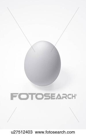 Egg, close up View Large Photo Image Stock Image - Egg, close up. Fotosearch