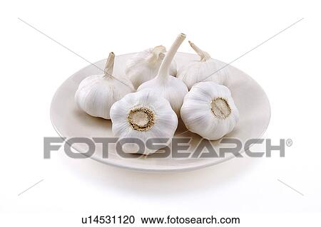 Plate with garlic View Large Photo Image Stock Image - Plate with garlic. Fotosearch