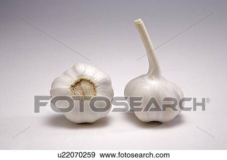 Stock Photo - Two heads of garlic, studio shot, close-up. Fotosearch