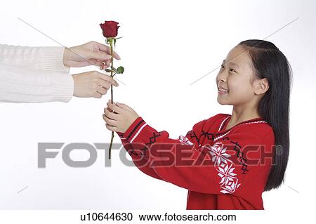 Little girl giving a red rose to her mother View Large Photo Image Stock Image - Little girl giving a red rose to her mother. Fotosearch